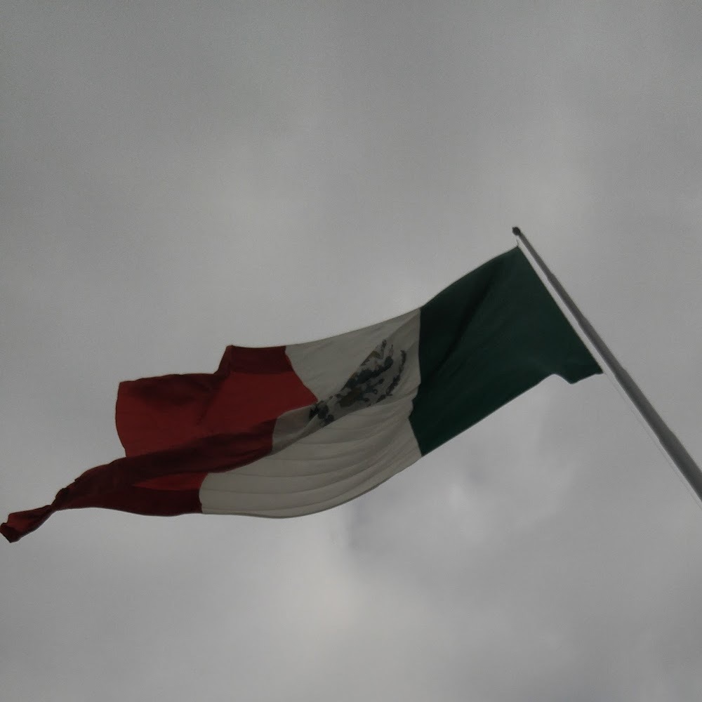 Meet your Posher, Angelica